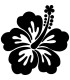 Stickers FLEUR HIBISCUS 21