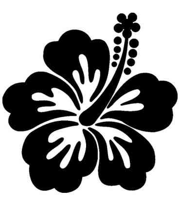 Stickers FLEUR HIBISCUS 21