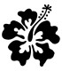 Stickers FLEUR HIBISCUS 22