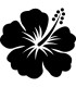Stickers FLEUR HIBISCUS 23