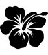 Stickers FLEUR HIBISCUS 25