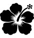 Stickers FLEUR HIBISCUS 26