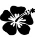Stickers FLEUR HIBISCUS 27