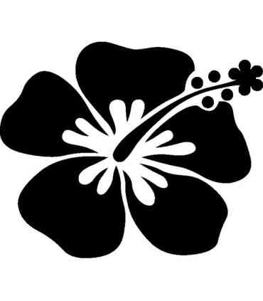 Stickers FLEUR HIBISCUS 27
