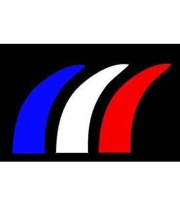 Stickers DRAPEAU FRANÇAIS FACON 308 R  PETIT