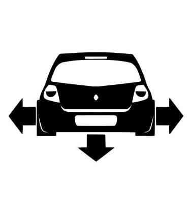 Stickers DOWN AND OUT CLIO 3 RS